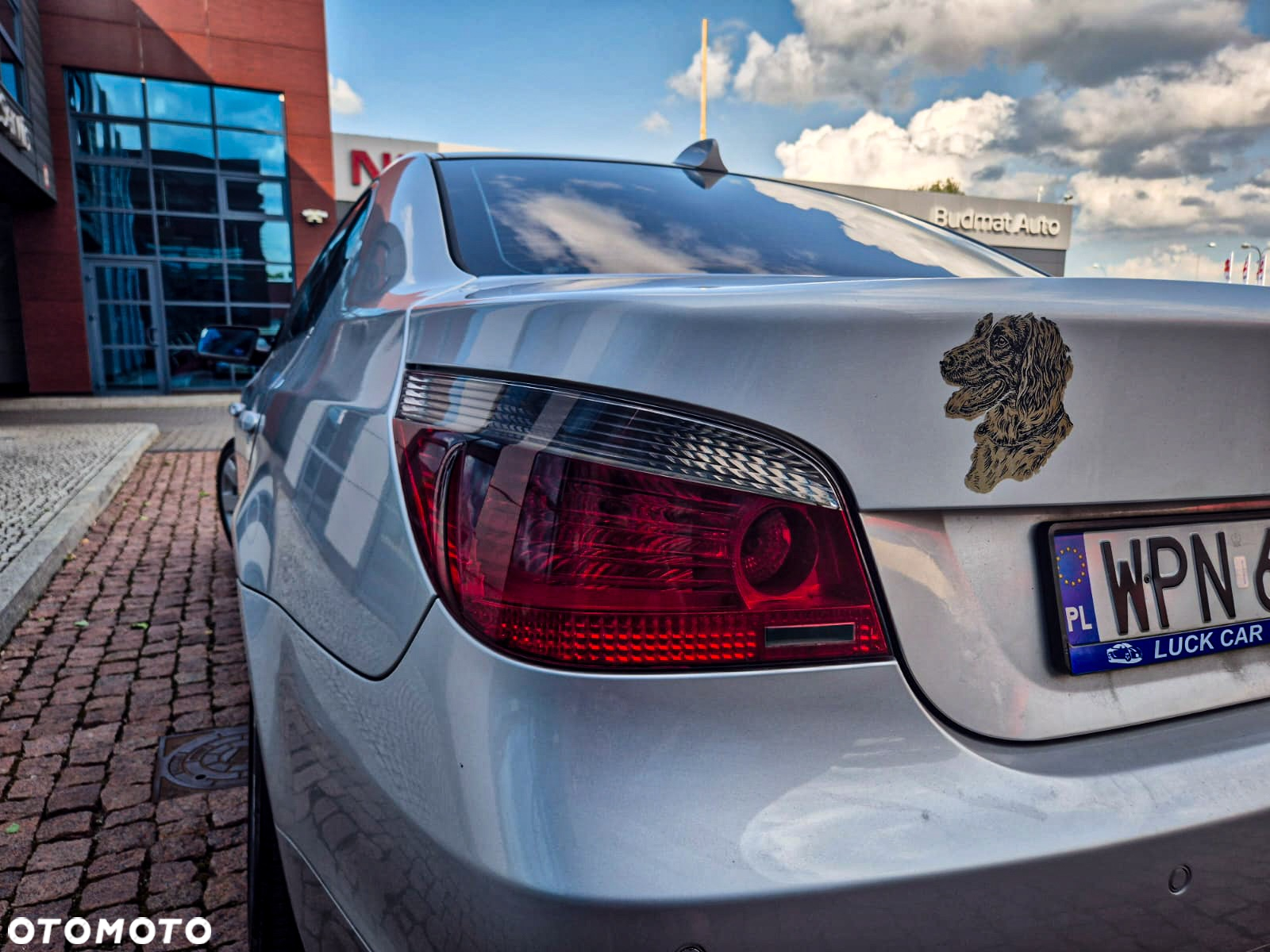 BMW Seria 5 530d - 9
