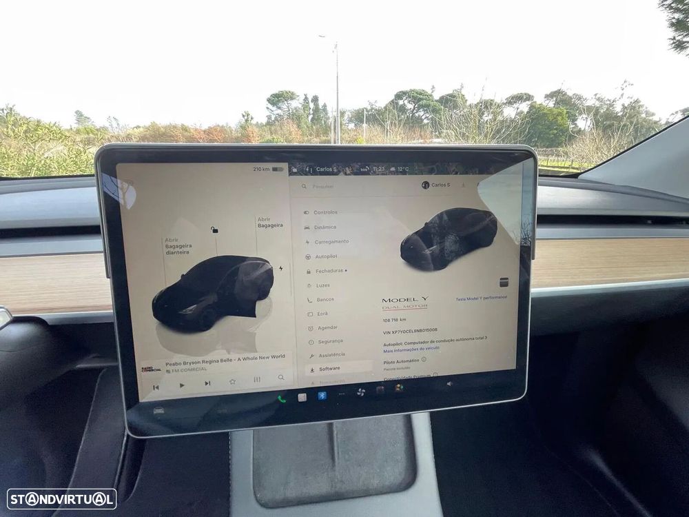 Tesla Model Y Performance Dual Motor AWD - 19
