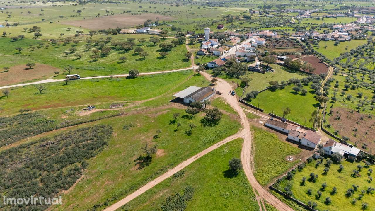 Monte da Chamurreira – Casa Tradicional com História a 10 Minutos do A - Grande imagem: 2/18