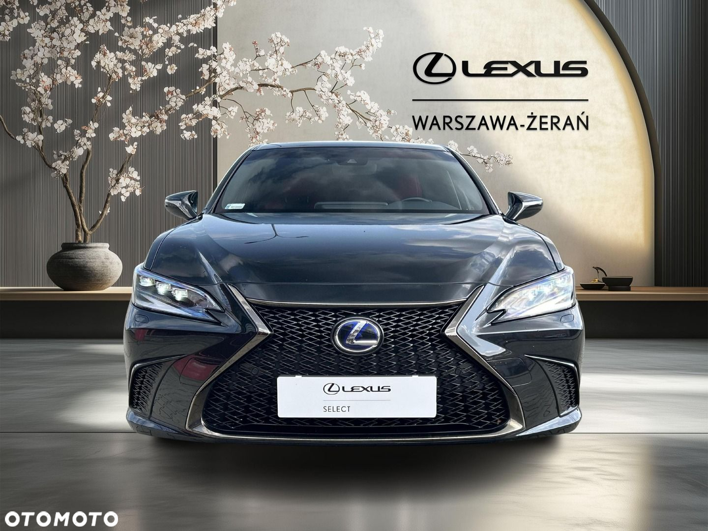 Lexus ES - 10