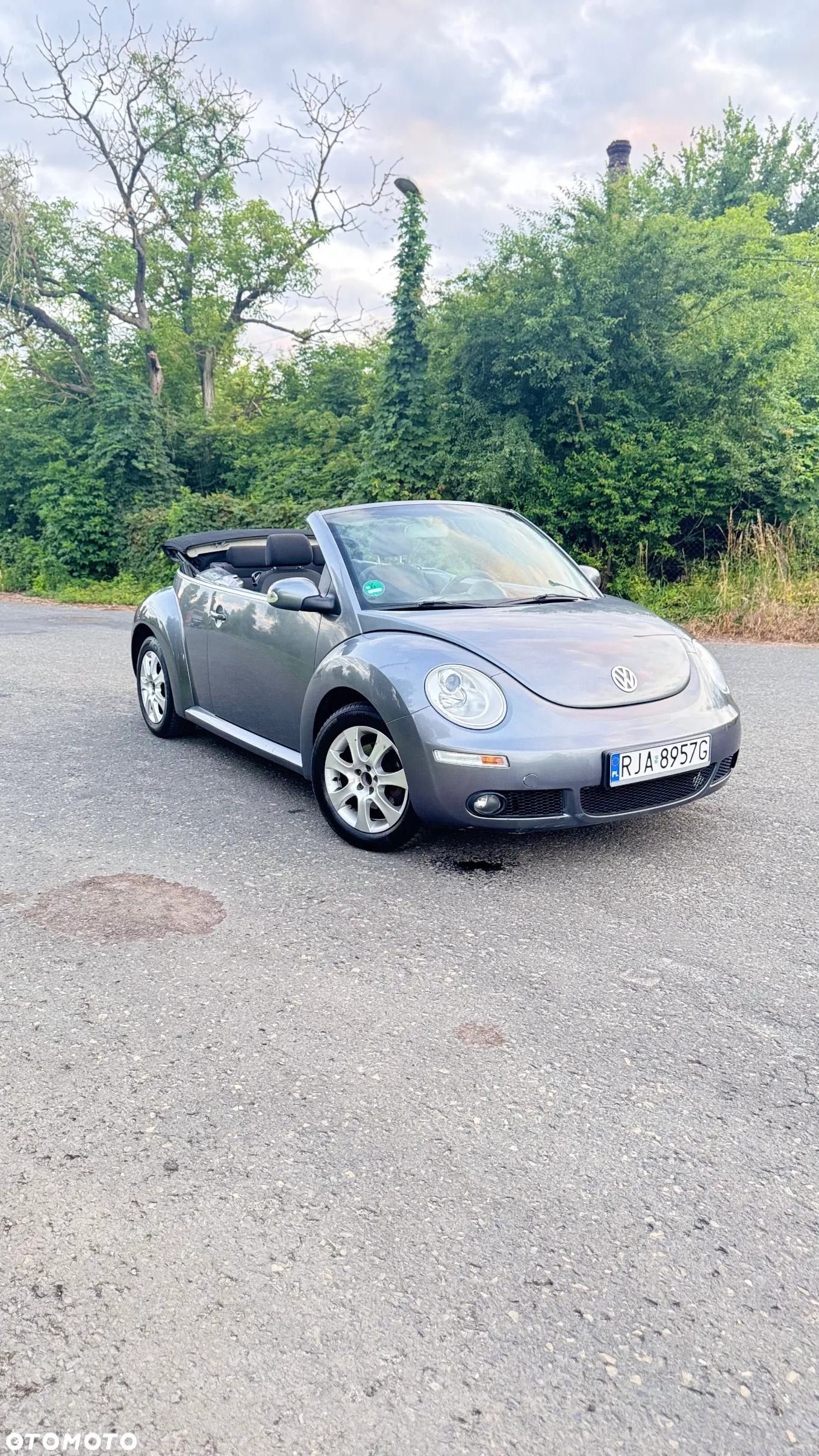 Volkswagen New Beetle 1.4 - 12
