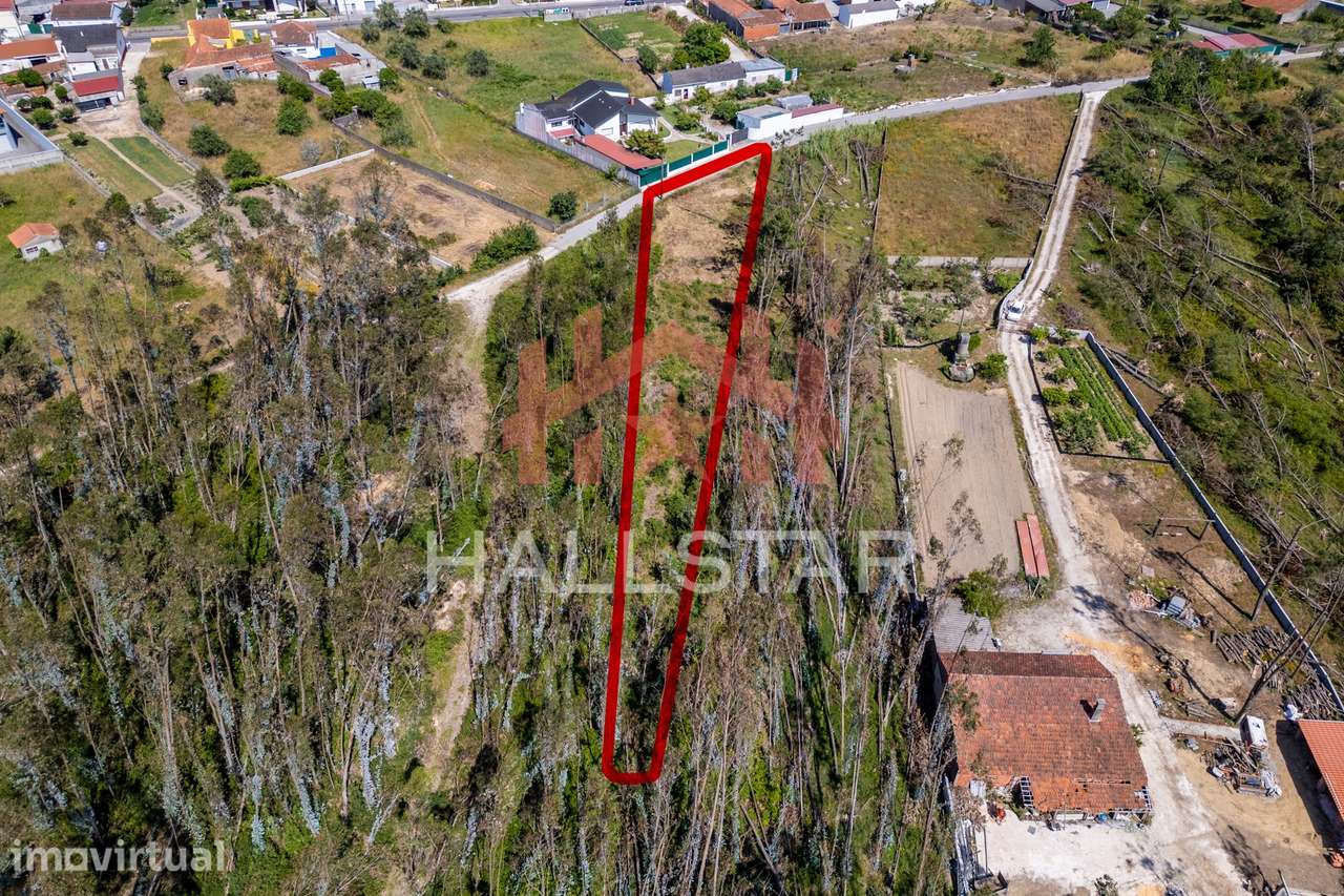 Terreno para Construção / Índice de 0.5 / Telheiro da Maceira - Grande imagem: 3/17