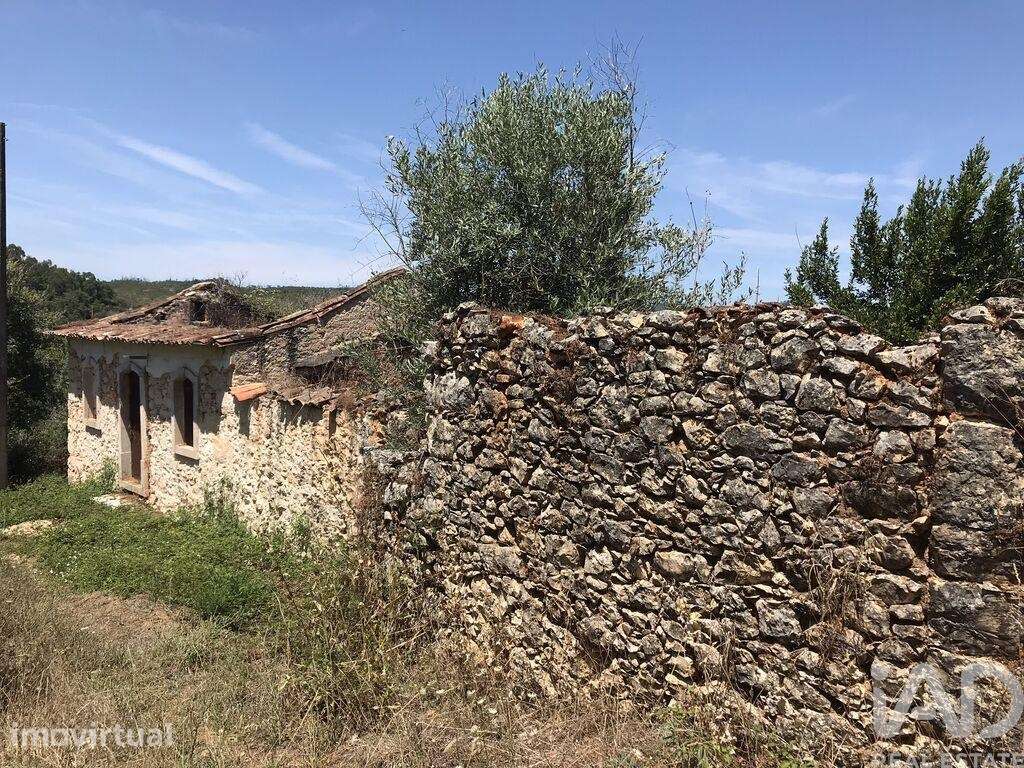 Quinta T6 em Chãos de 650,00 m2 - Grande imagem: 4/30