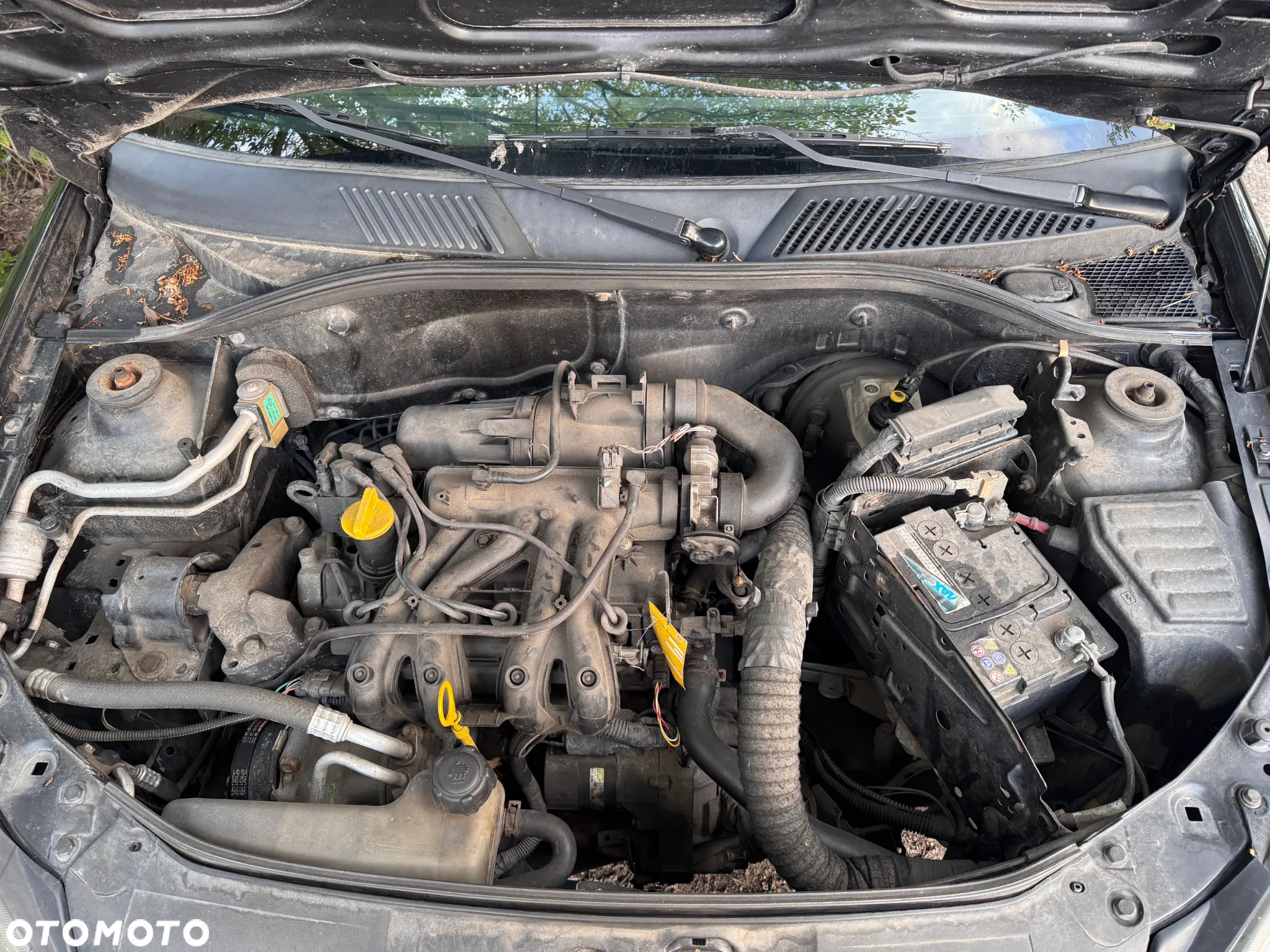 Renault Clio - 15