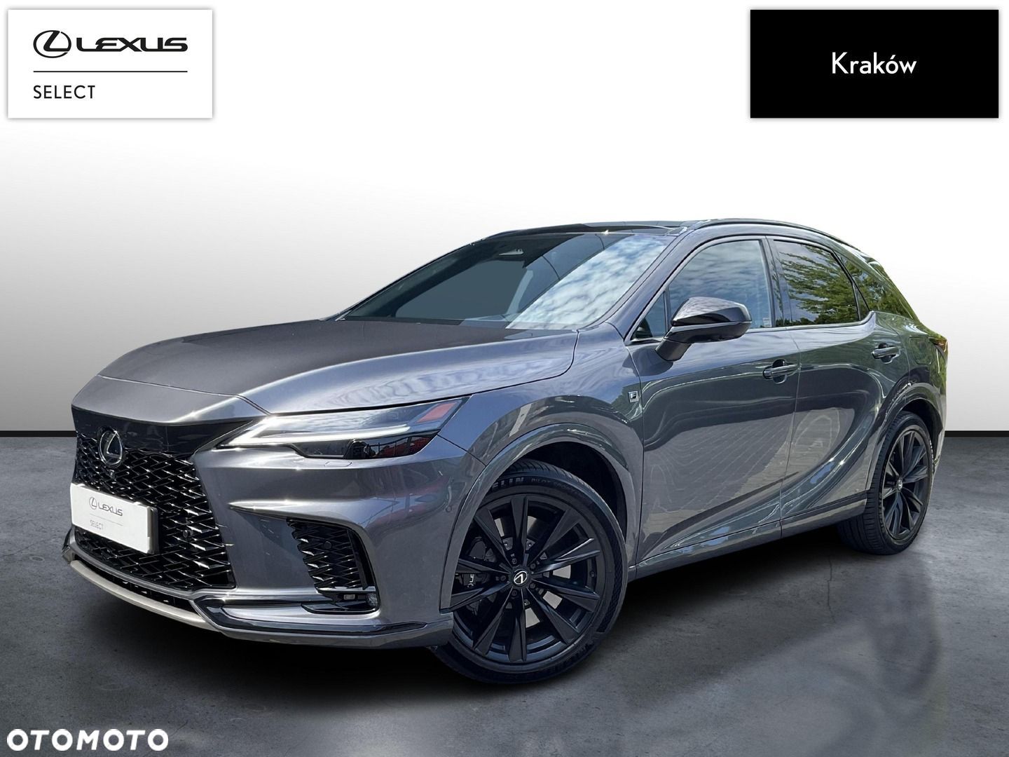 Lexus RX - 1
