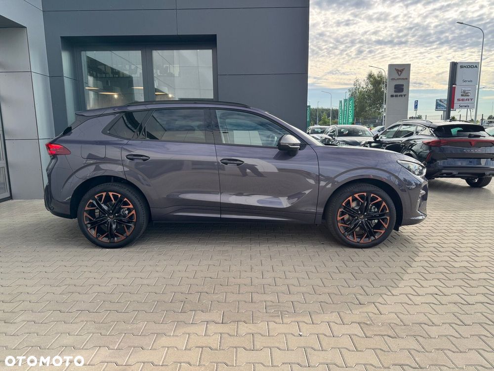 Cupra Terramar - 9