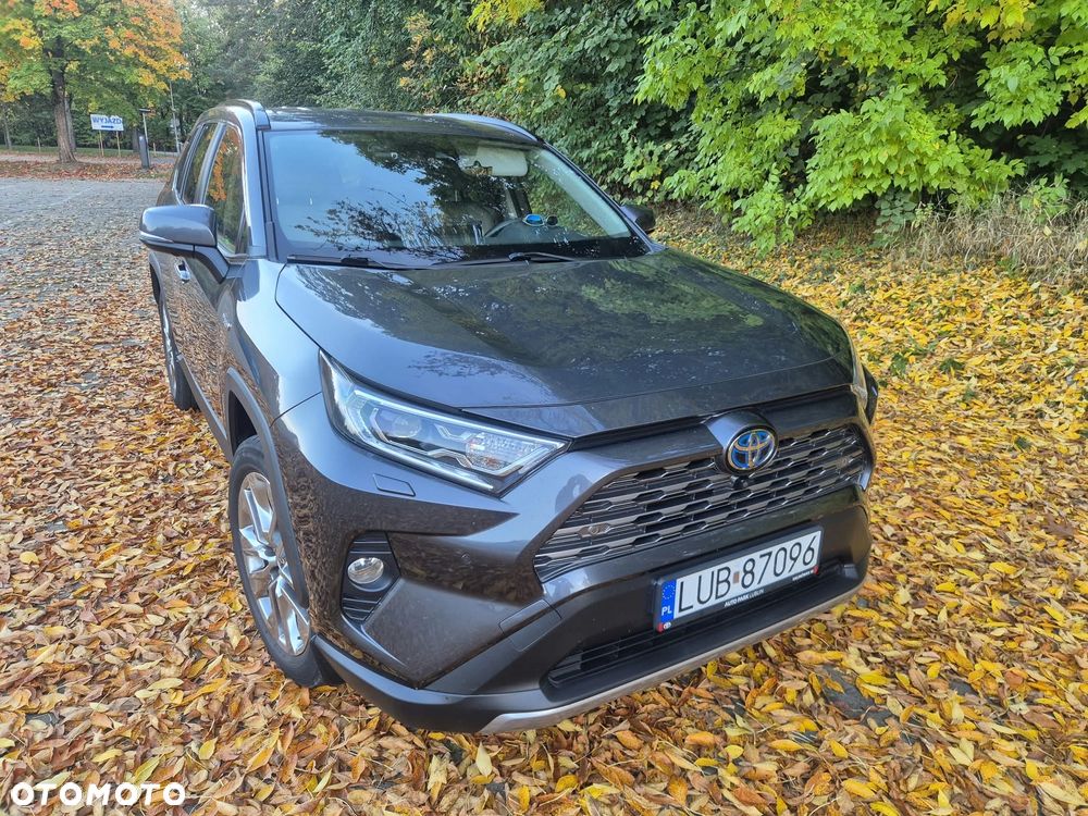 Toyota RAV4 2.5 Hybrid Executive 4x4 - 5