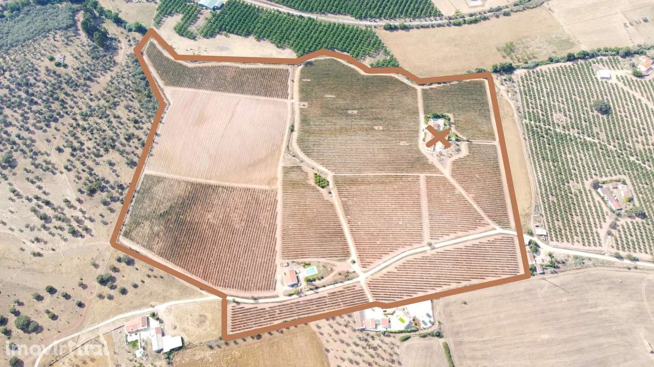 Vinha com 166 228m2, com benfeitoria (projeto) em Estremoz. - Grande imagem: 5/31