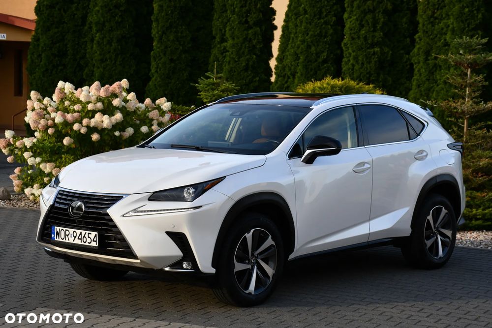 Lexus NX 300 AWD Executive Line - 2