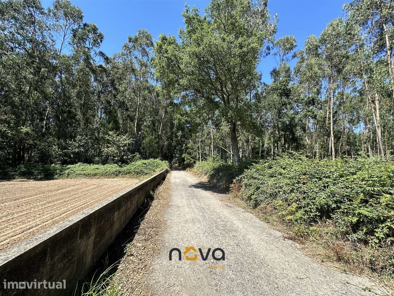 Terreno com 6100m2 em Gião, Vila do Conde NOVA Imobiliária - Grande imagem: 4/25