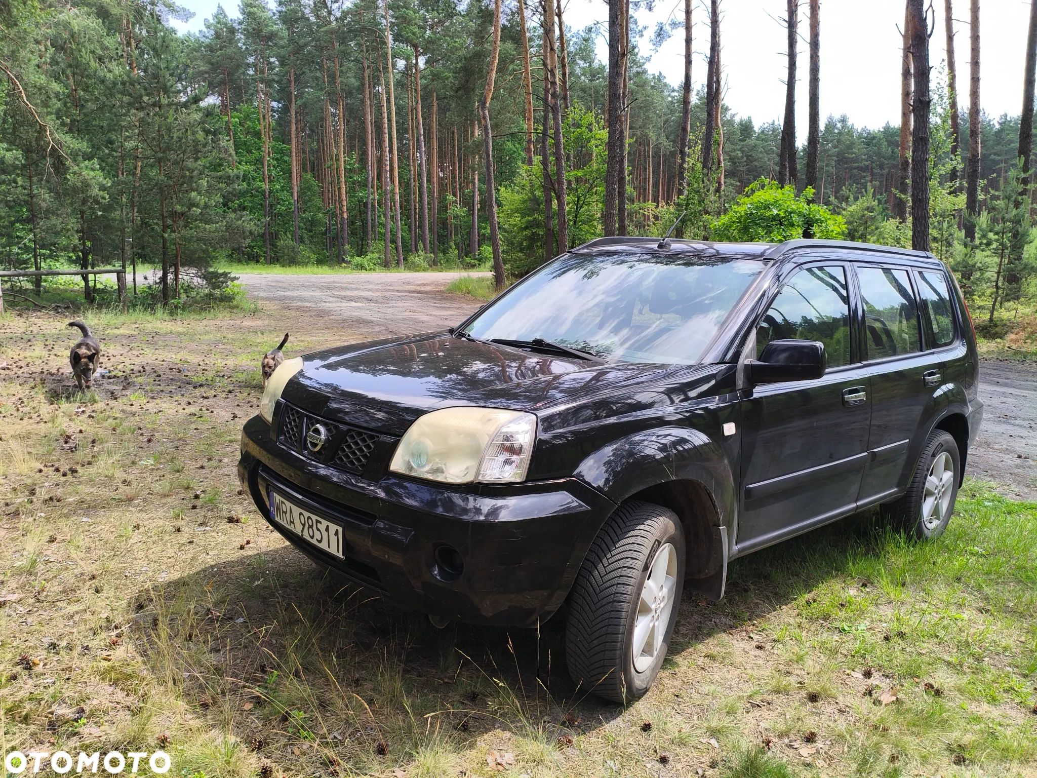 Nissan X-Trail - 1