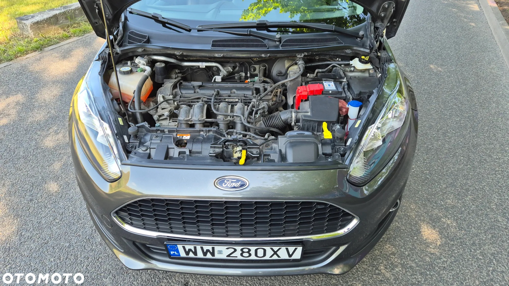 Ford Fiesta 1.4 Gold X - 16