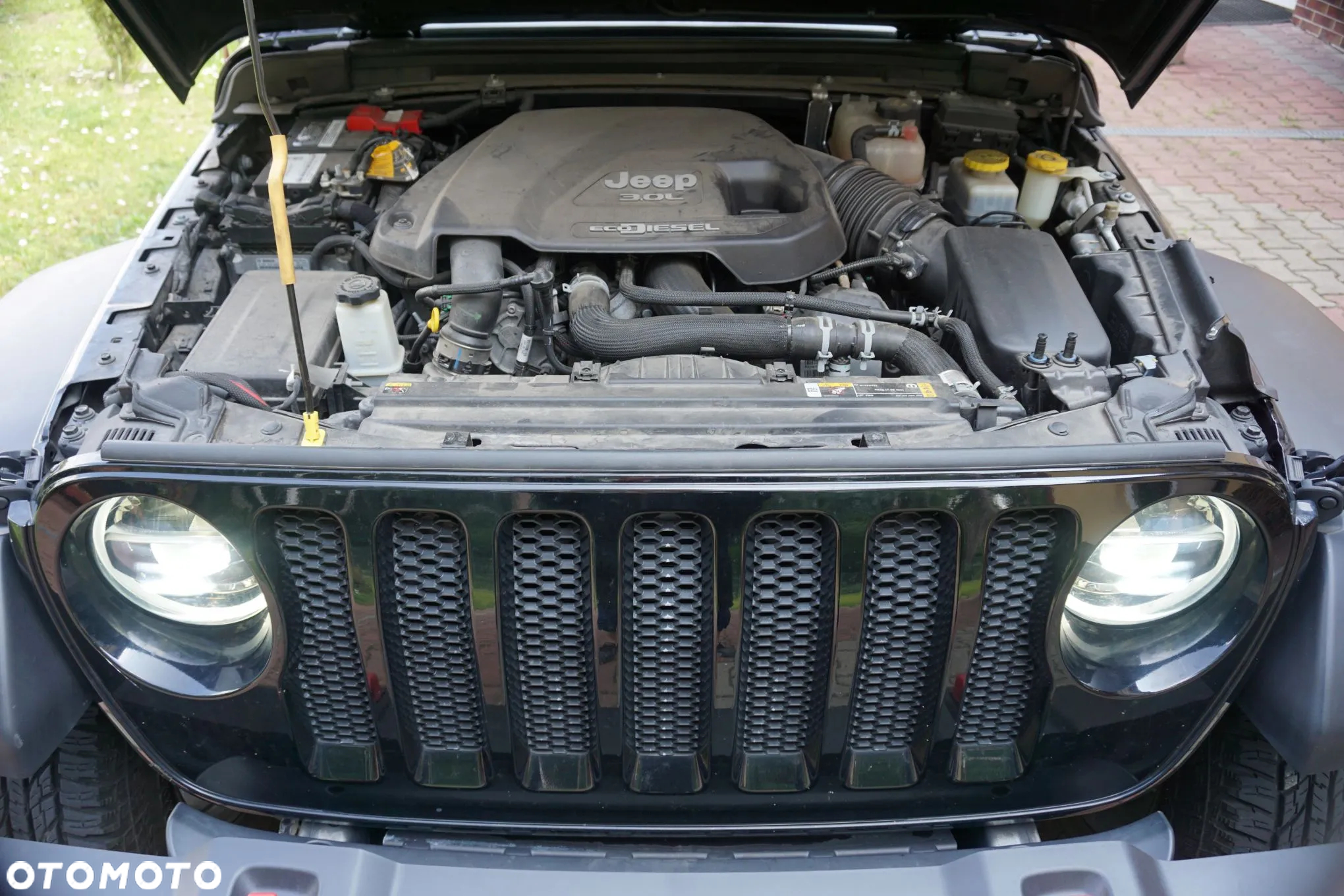 Jeep Wrangler - 22