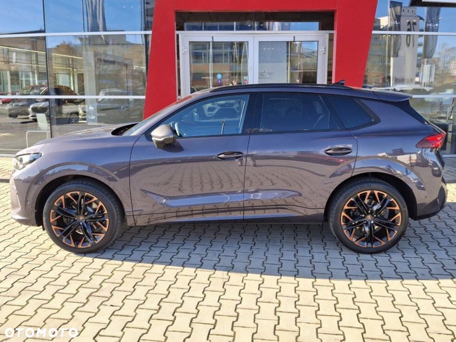 Cupra Terramar - 3