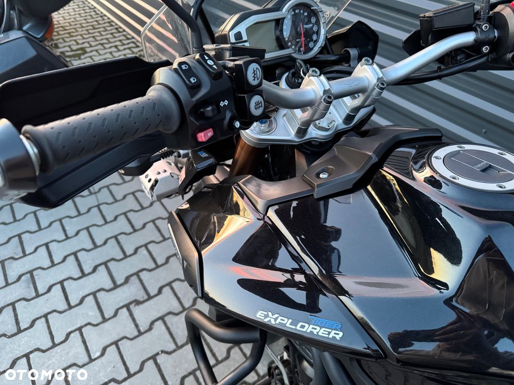 Triumph Tiger - 19