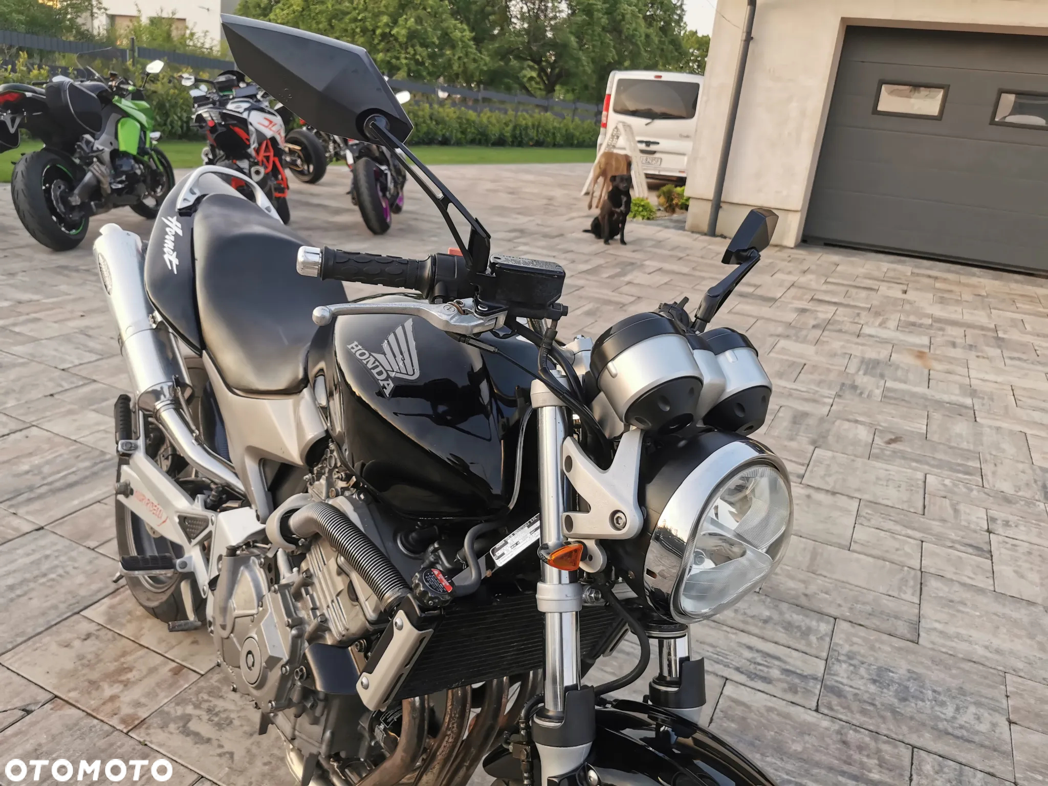 Honda Hornet - 23