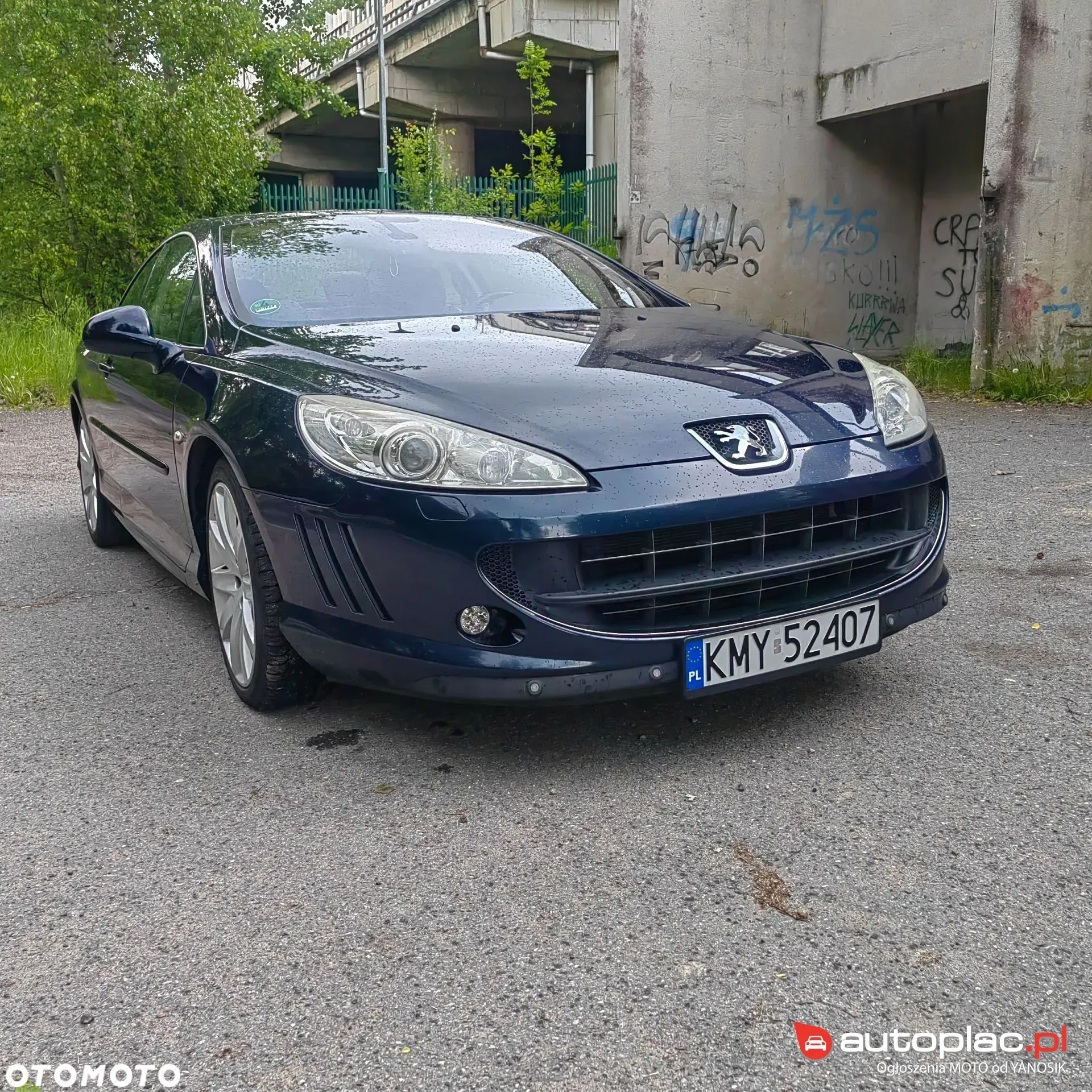 Peugeot 407 - 13