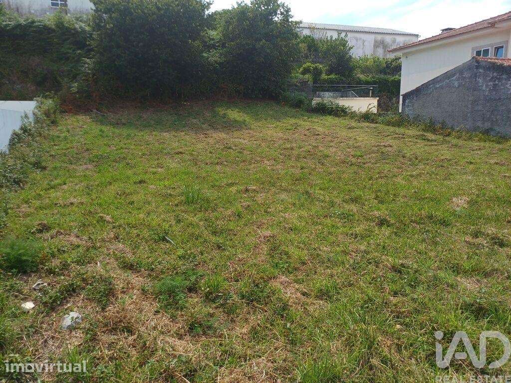 Terreno em Anha - Grande imagem: 2/6