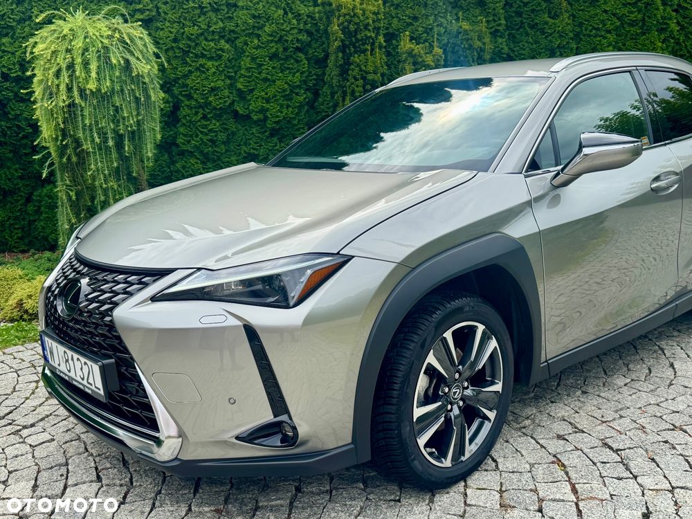 Lexus UX 250h F Sport 2WD - 4