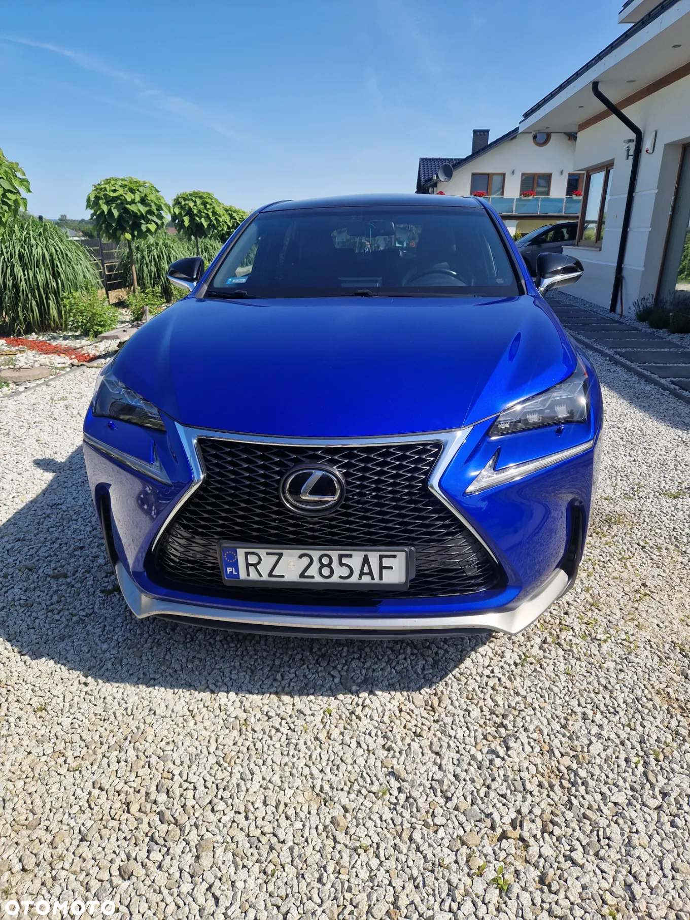 Lexus NX 200t F Sport AWD - 15