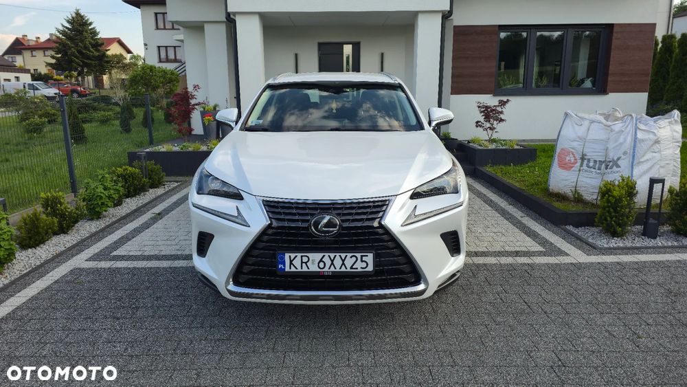 Lexus NX 300 Business Edition AWD - 12