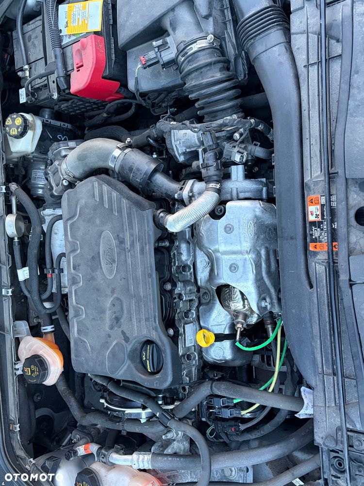Ford Focus 1.5 EcoBlue Start-Stopp-System COOL&CONNECT - 20