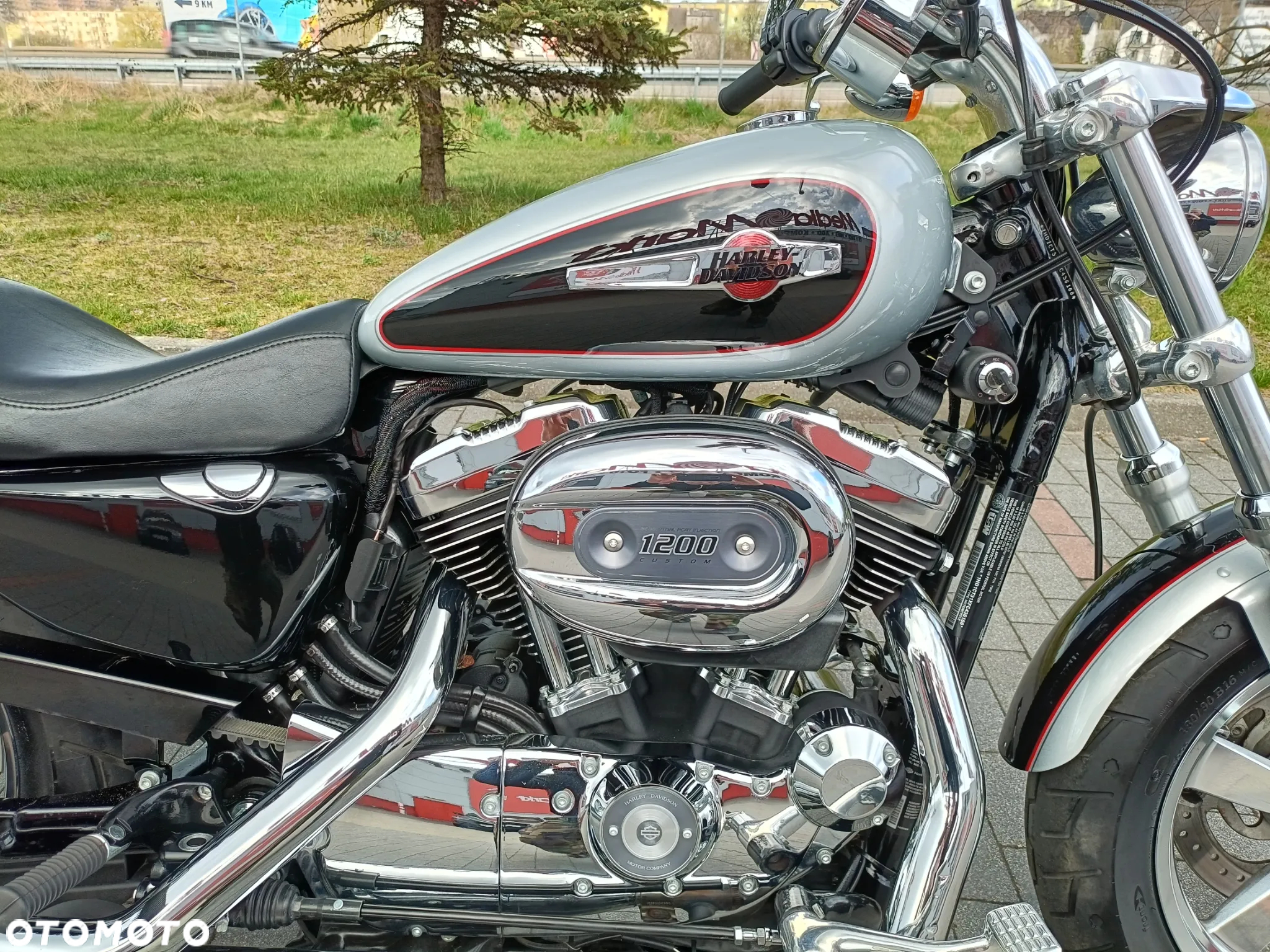 Harley-Davidson Sportster Custom 1200C - 5
