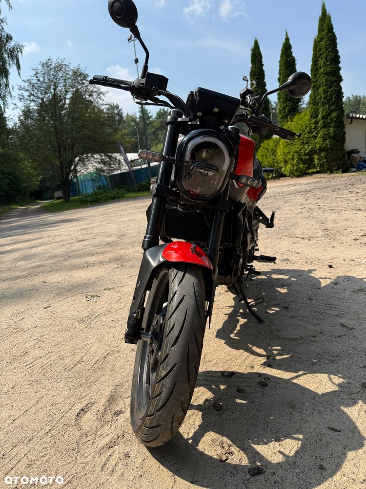 Benelli Leoncino - 10