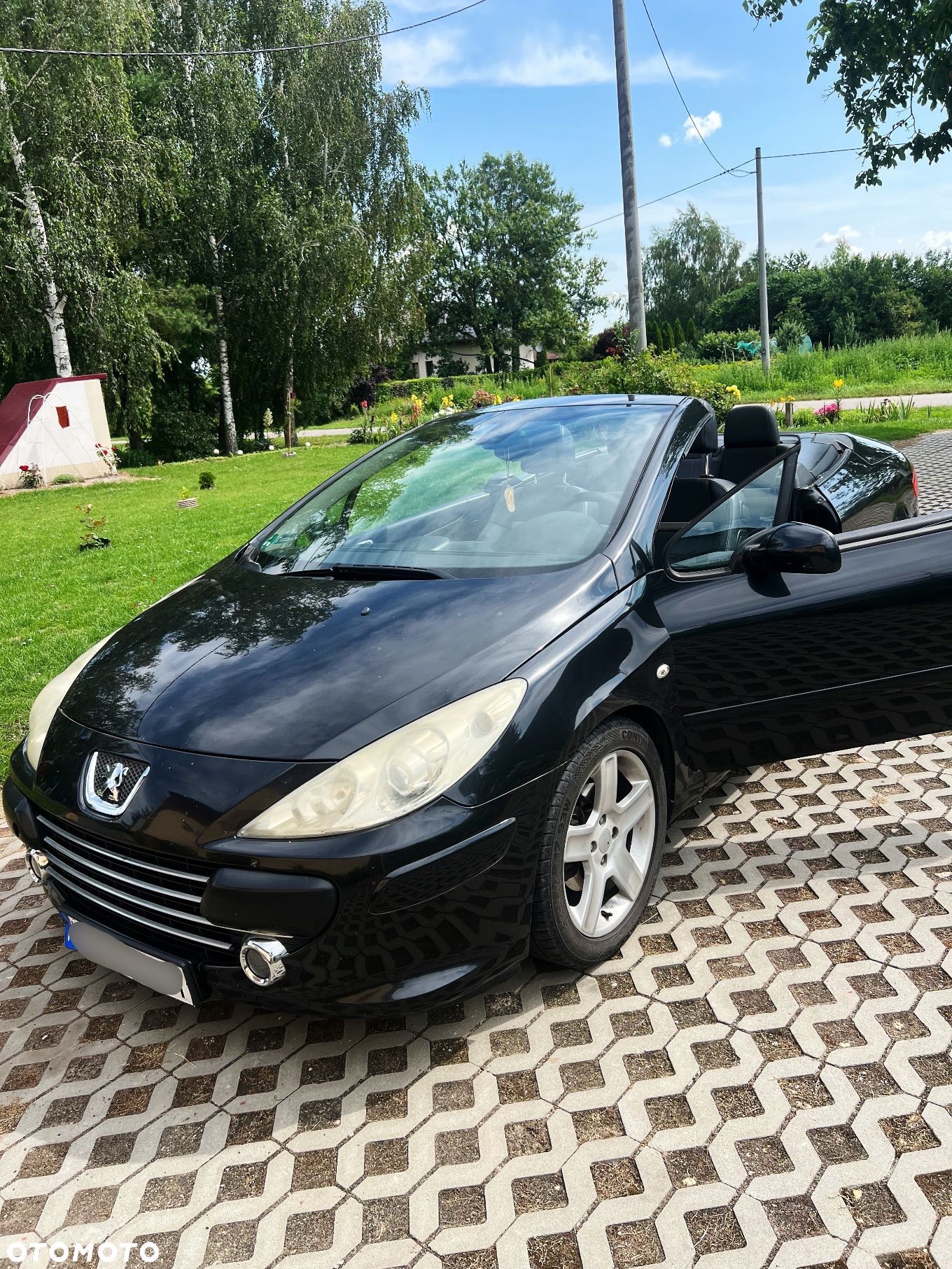 Peugeot 307 CC 2.0 - 1