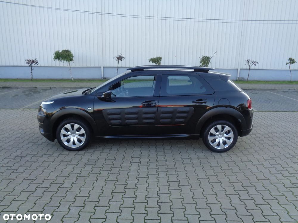 Citroën C4 Cactus PureTech 82 Shine Edition - 9