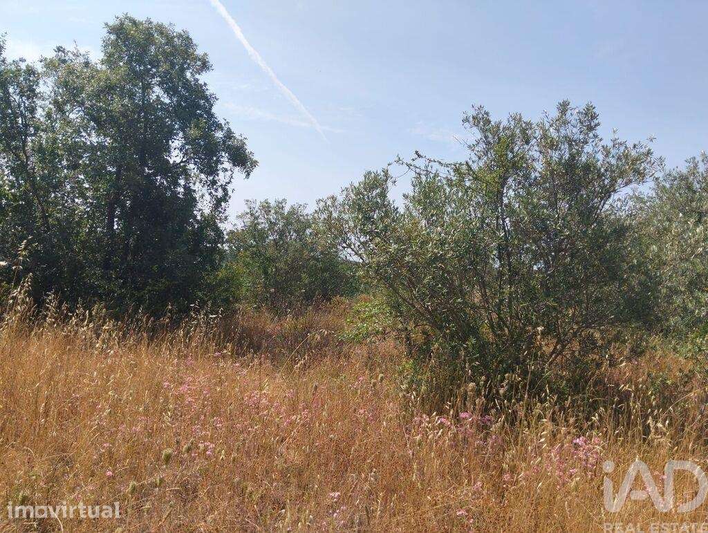 Terreno em Chãos de 1560,00 m2 - Grande imagem: 2/15