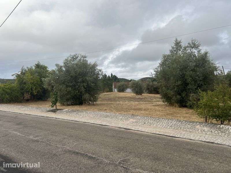 Vendo Terreno - Espinheiro Alcanena - Grande imagem: 3/3