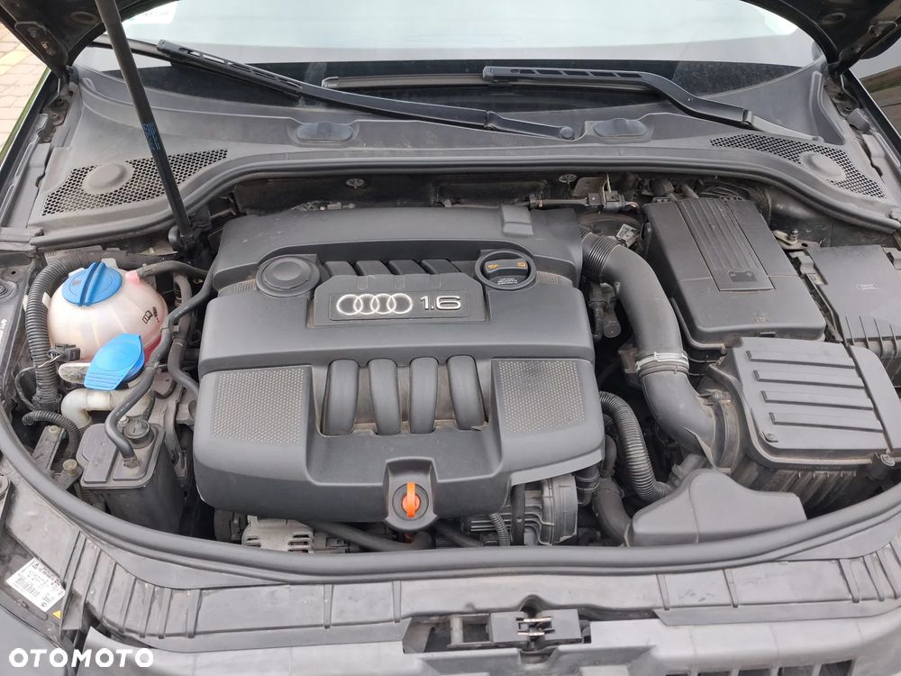 Audi A3 Sportback 1.6 Attraction - 25