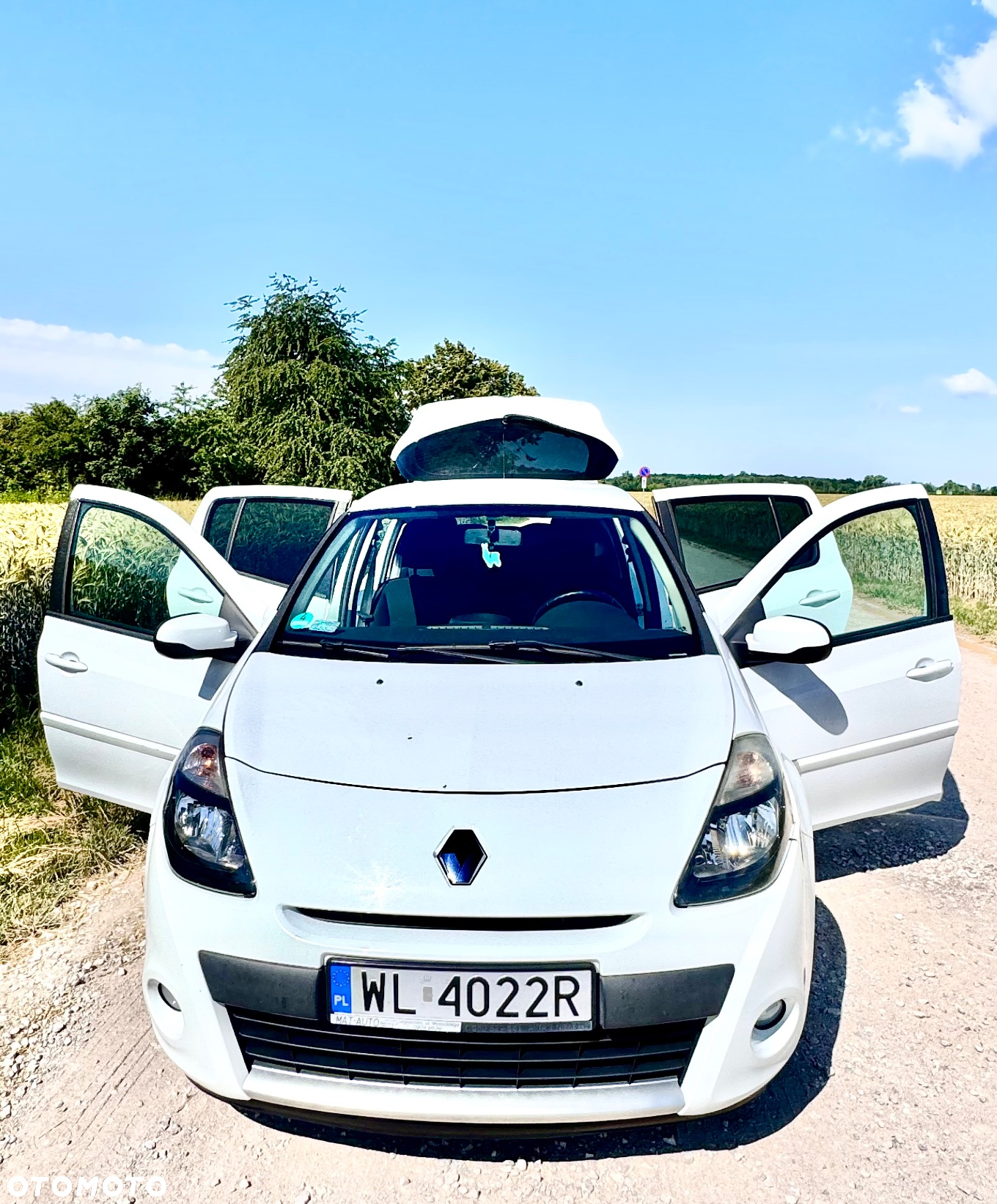 Renault Clio - 20