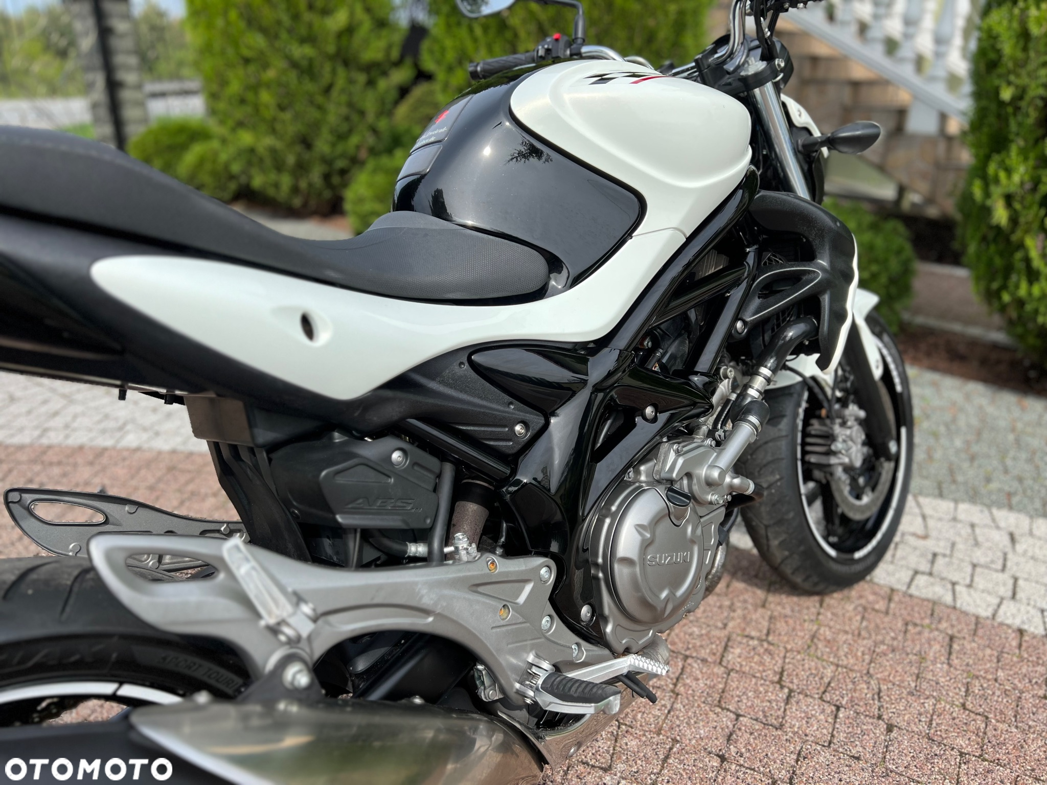 Suzuki Gladius - 14