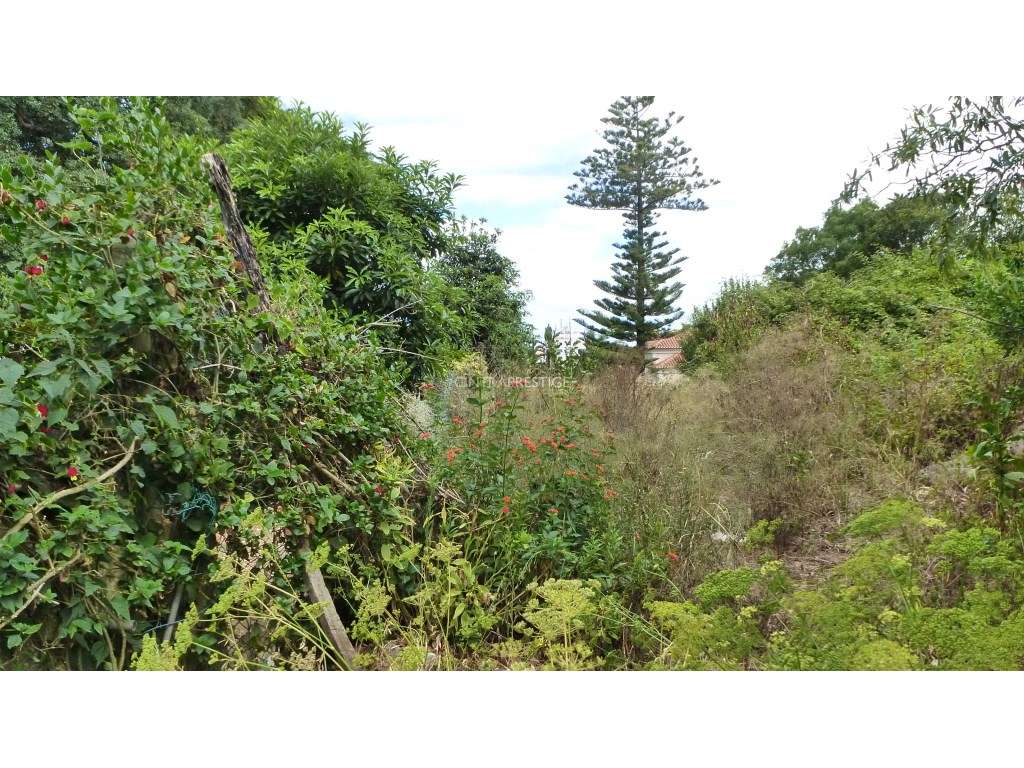 Terreno Urbano com 856m2 PIP em Aprovação na Portela de Sintra - Grande imagem: 4/10