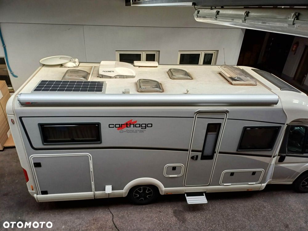 Carthago carthago - 9