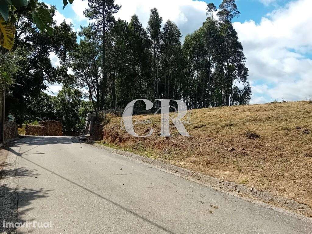 Terreno Rústico em Bairradas, Figueiró dos Vinhos, com viabilidade par - Grande imagem: 2/12