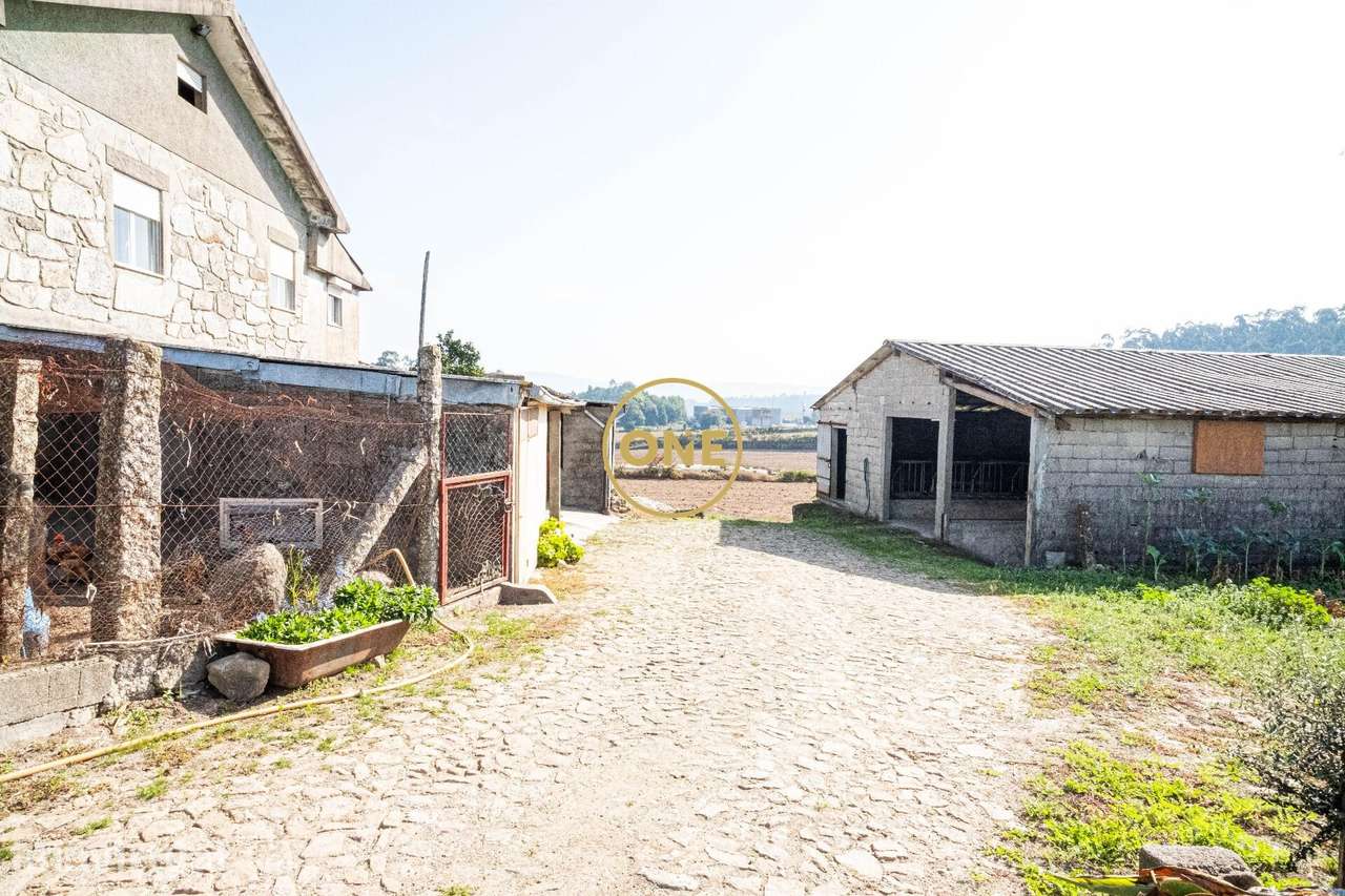 Quinta Temática com +30.000 m2 em Silveiros – Barcelos - Grande imagem: 5/23