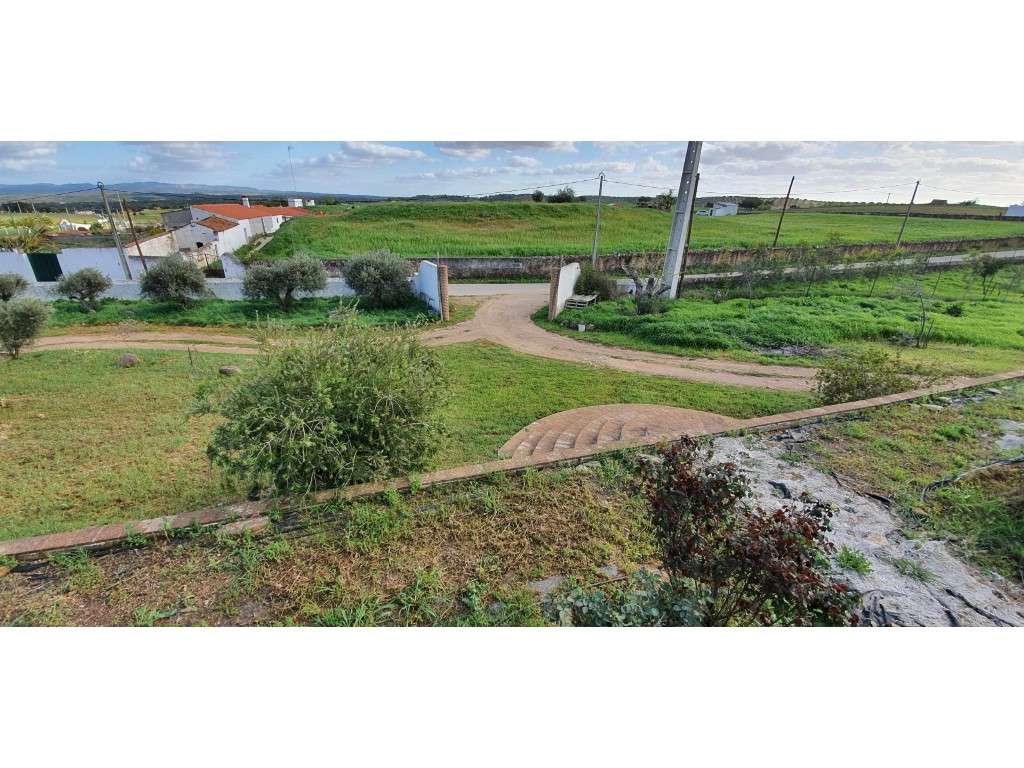 Quinta T5 com 11.250 m2 na zona de Serpa - Grande imagem: 3/45