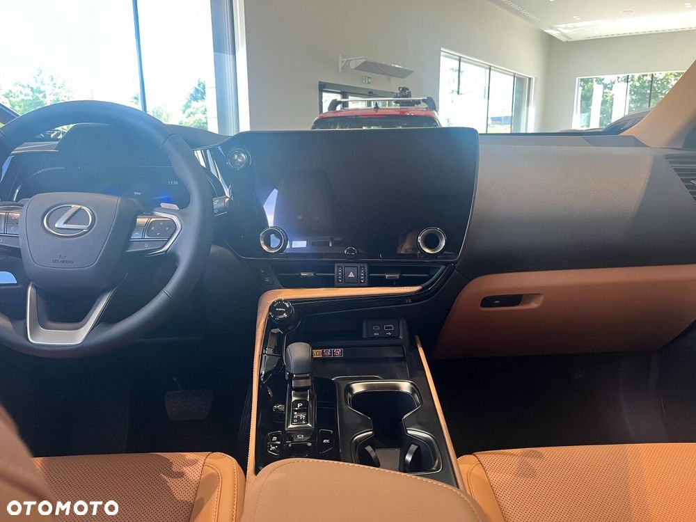 Lexus NX - 10
