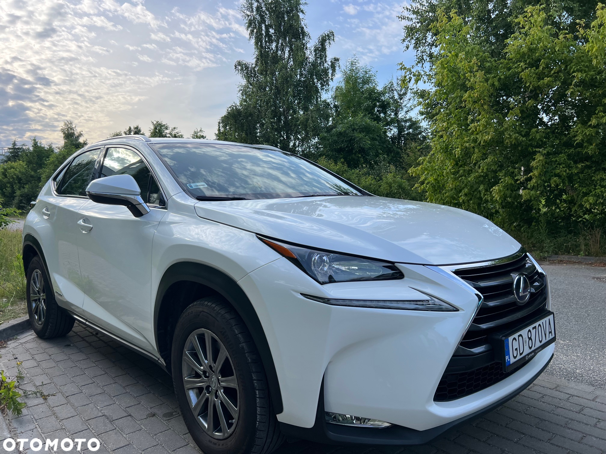 Lexus NX 300h Elite AWD - 2