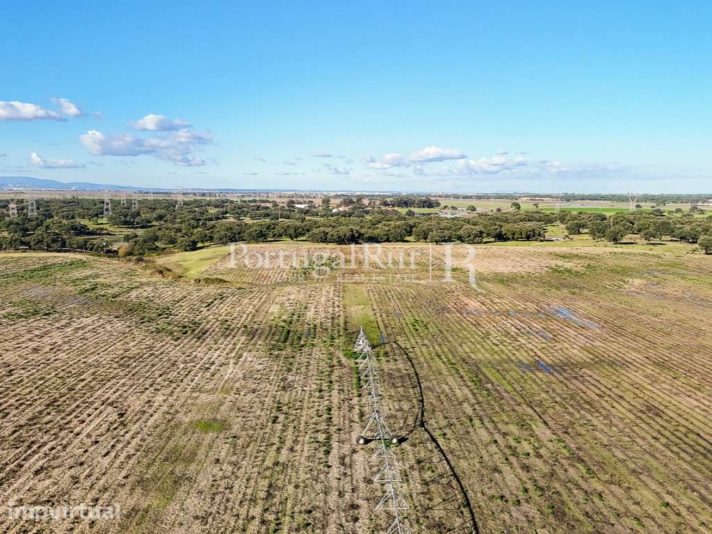 Herdade de 60 ha com regadio, ideal para gado, perto de Lisboa - Grande imagem: 2/59