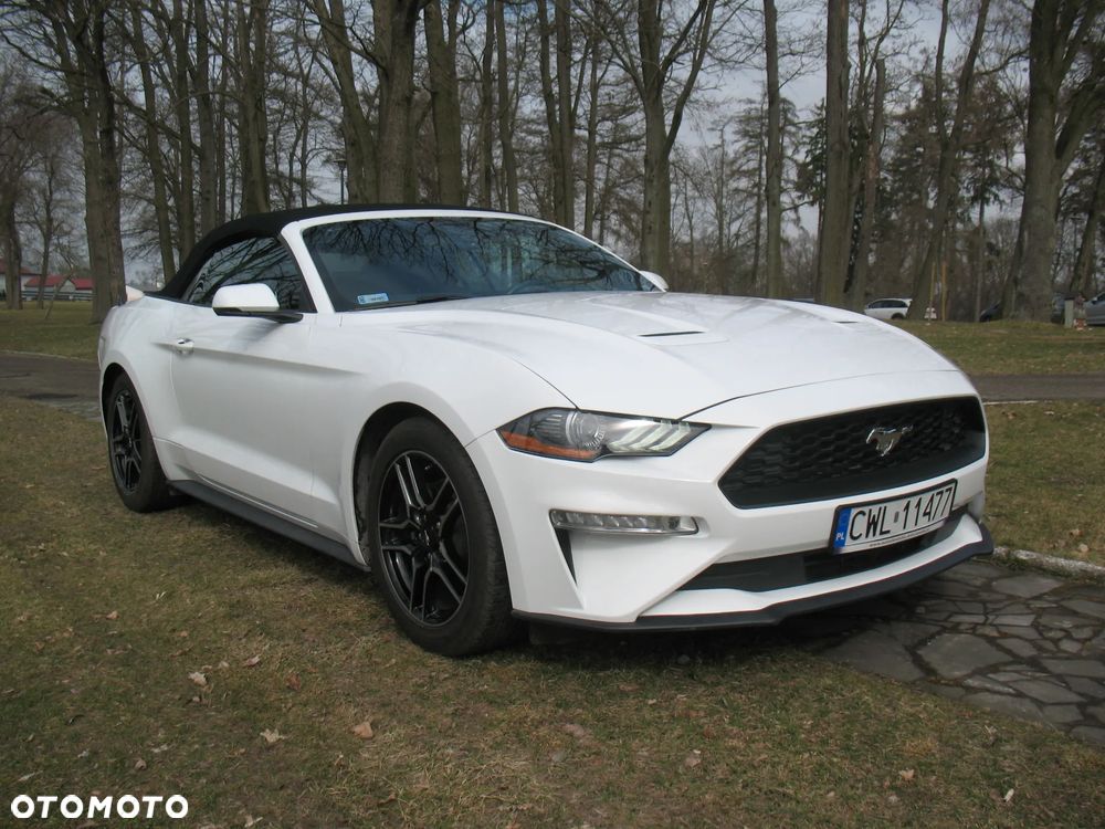Ford Mustang 2019 photo 4