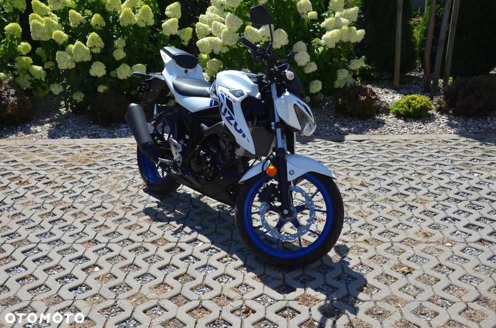 Suzuki GSX - 3