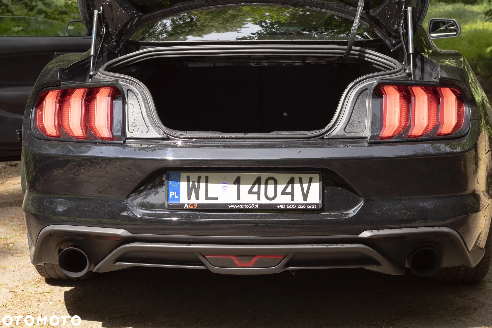 Ford Mustang - 10