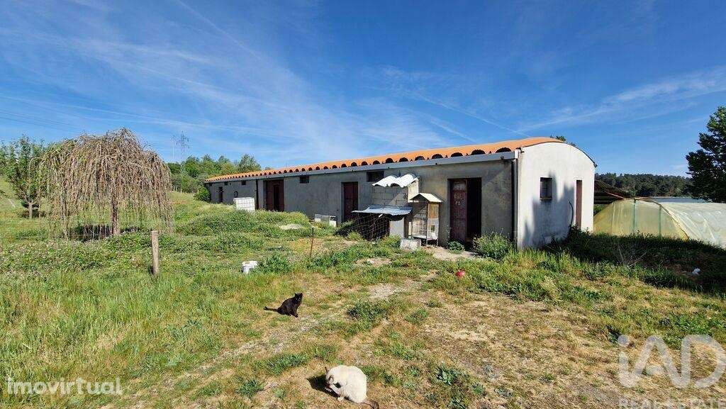 Casa T4 em Penso e Freixinho de 100,00 m2 - Grande imagem: 5/30