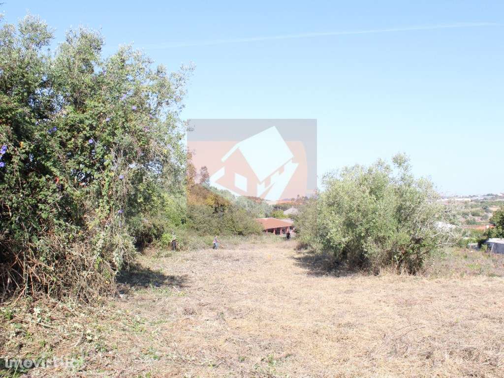 Terreno Rústico em Albogas - Grande imagem: 2/7