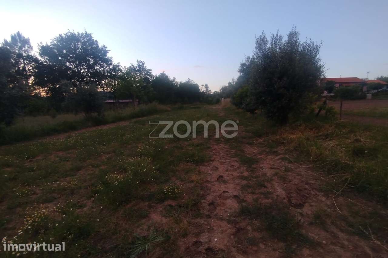Terreno a 5 minutos do centro de Mangualde o seu Sonho - Grande imagem: 5/18