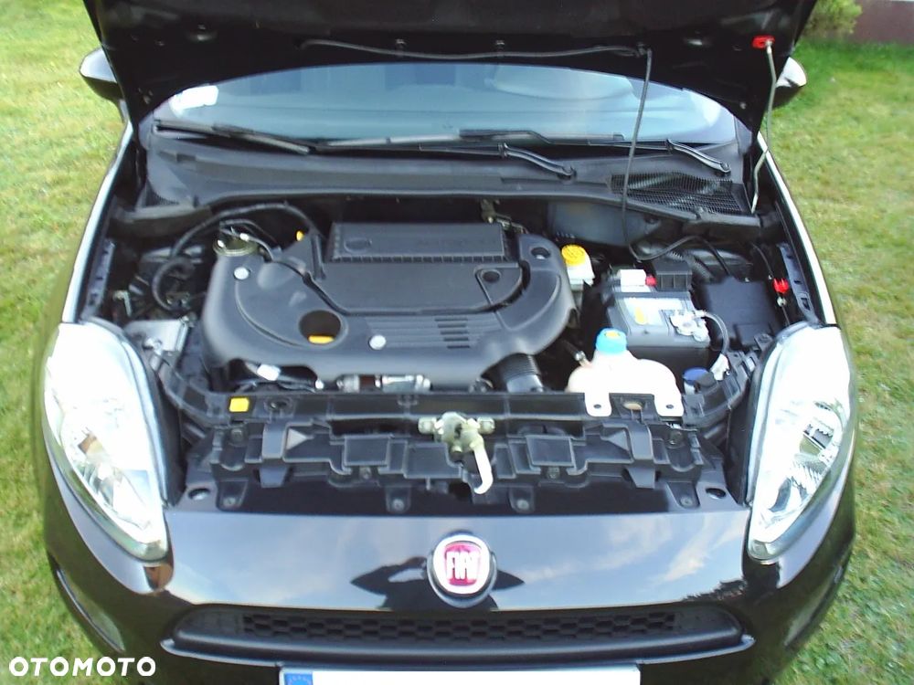 Fiat Punto 2012 - 14